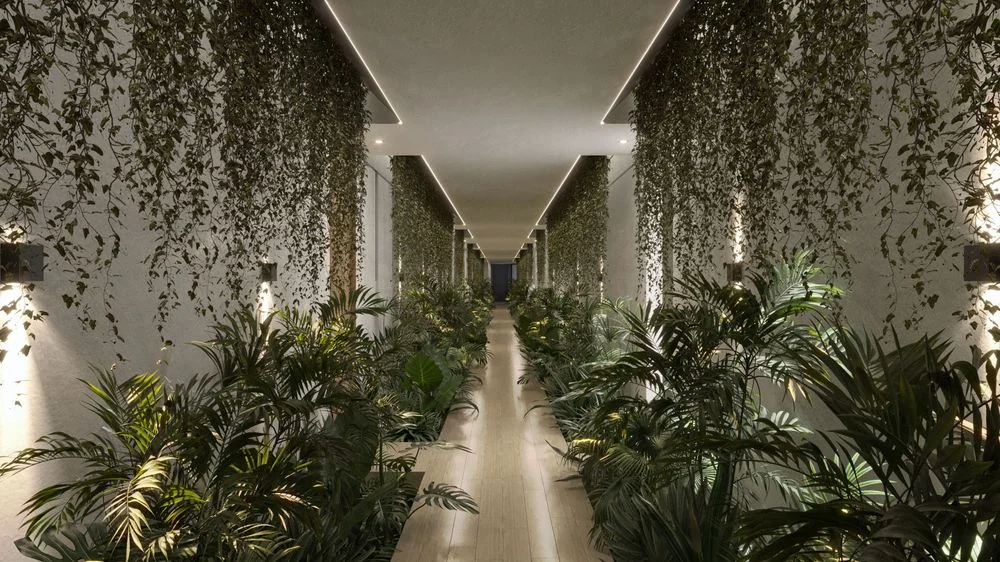 Edera | Mérida | Mexico Luxury Properties