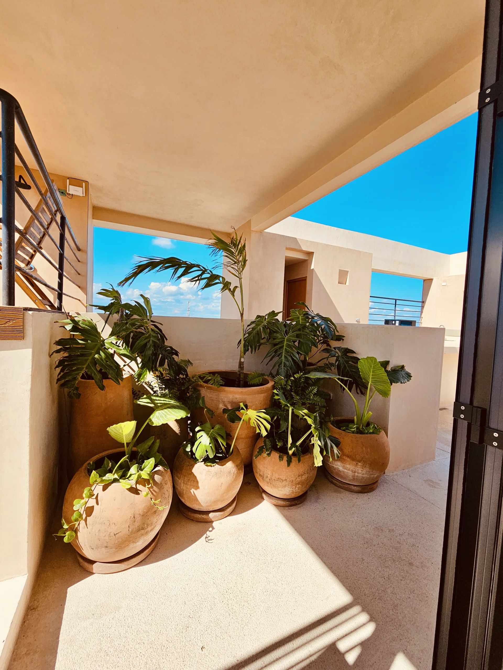 Nalu Sanctuary | Playa del Carmen | Mexico Luxury Properties