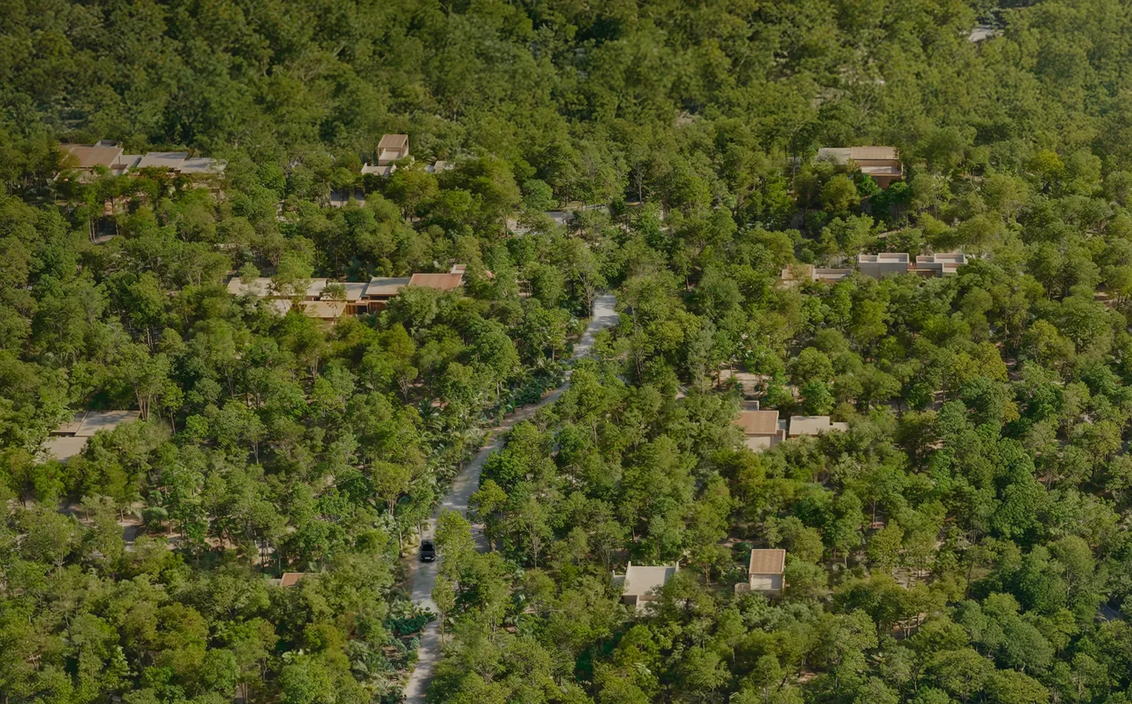 Selvadentro | Tulum | Mexico Luxury Properties