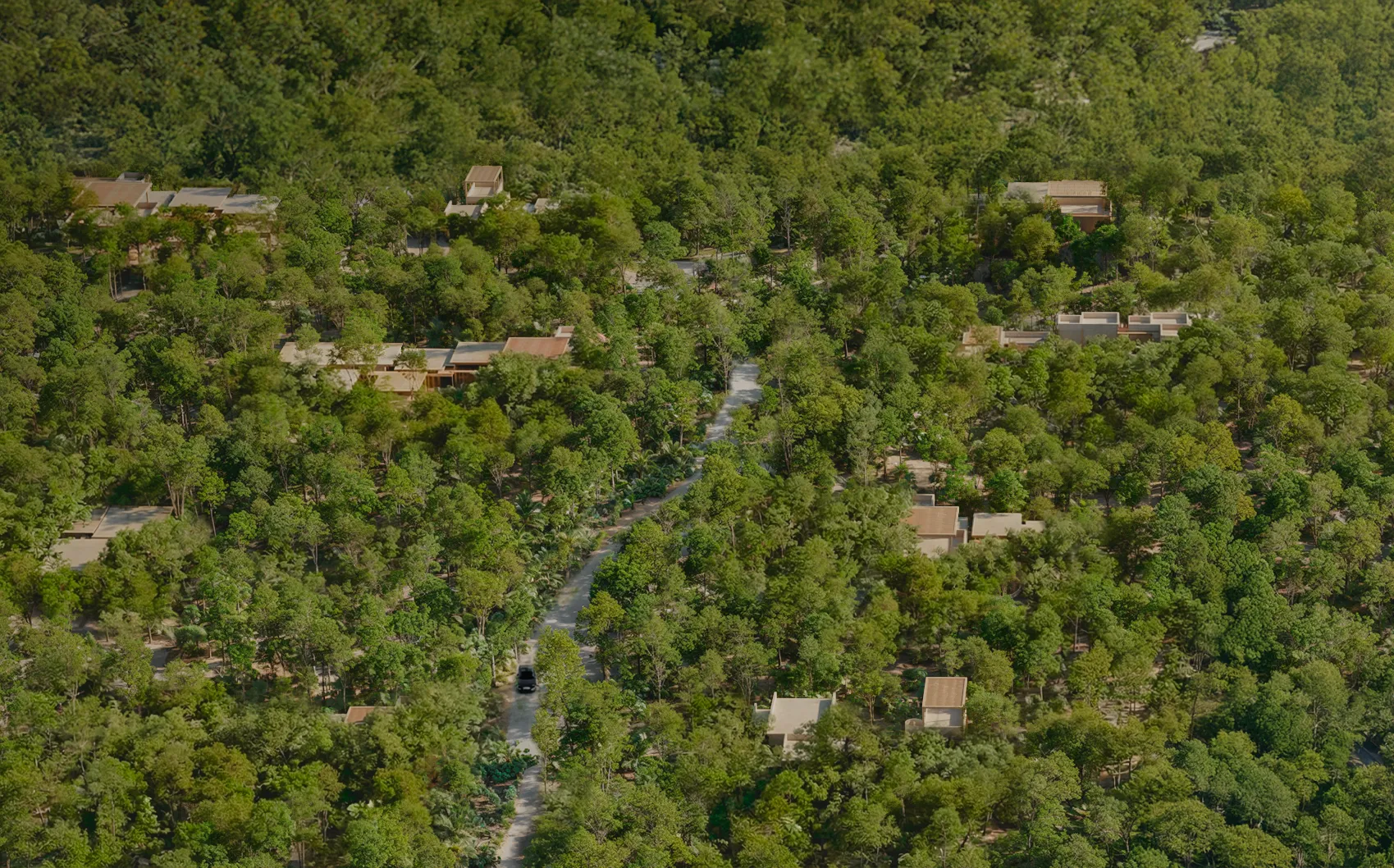 Selvadentro | Tulum | Mexico Luxury Properties